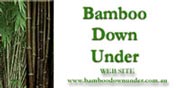 bamboo from bamboo downunder