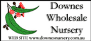 DOWNES WHOLESALE NURSERY
