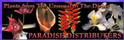 Paradise Distributors