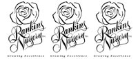 wholesale roses from rankins roses