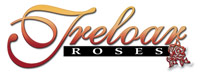 Treloar Roses